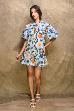 PICNIC DRESS