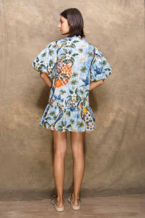 PICNIC DRESS